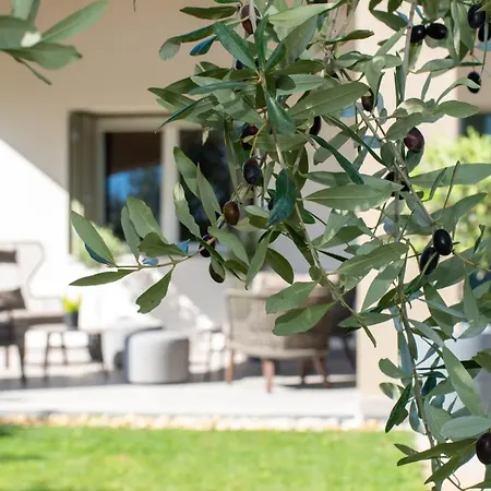 Relais La Dolce Vite 팜스테이 산벤데미아노