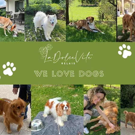 Κατάλυμα σε φάρμα Relais La Dolce Vite *