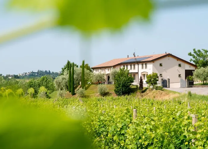 Relais La Dolce Vite Gospodarstwo agroturystyczne