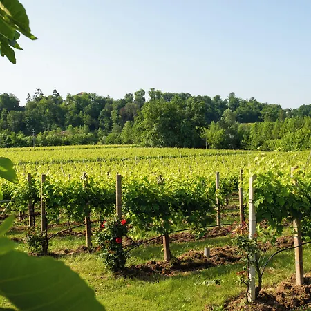 Farm stay Relais La Dolce Vite *