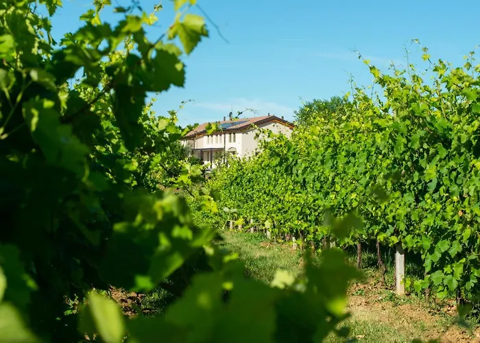 Relais La Dolce Vite Vakantieboerderij